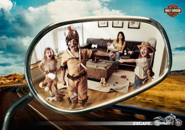 222182_434002569987455_650327599_n