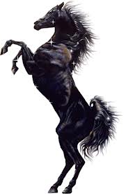 Bienvenue à Prince Noir