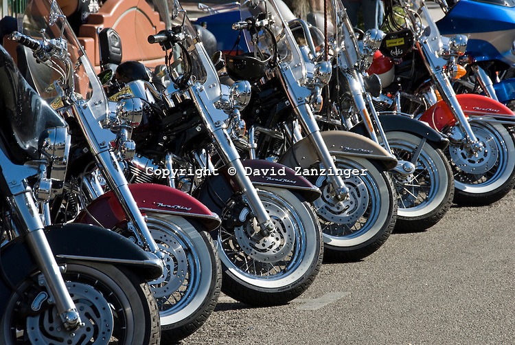 Harley Davidson HOG Buell Motorcycle "Harley"