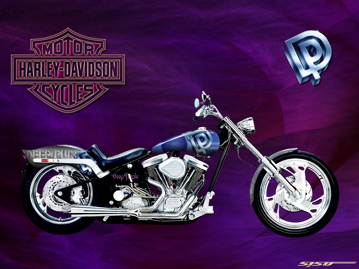 Harley Deep Purple