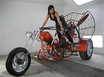 Qui veut faire un tour ?