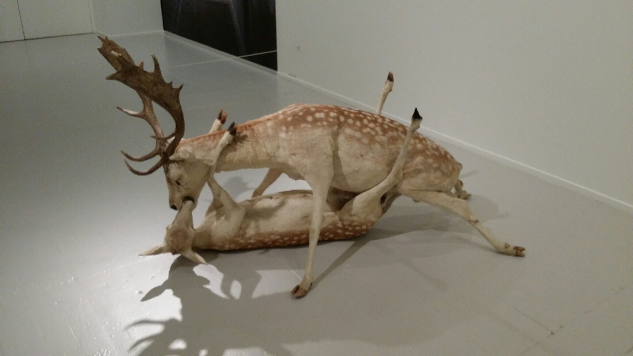 20141030_151731_resized