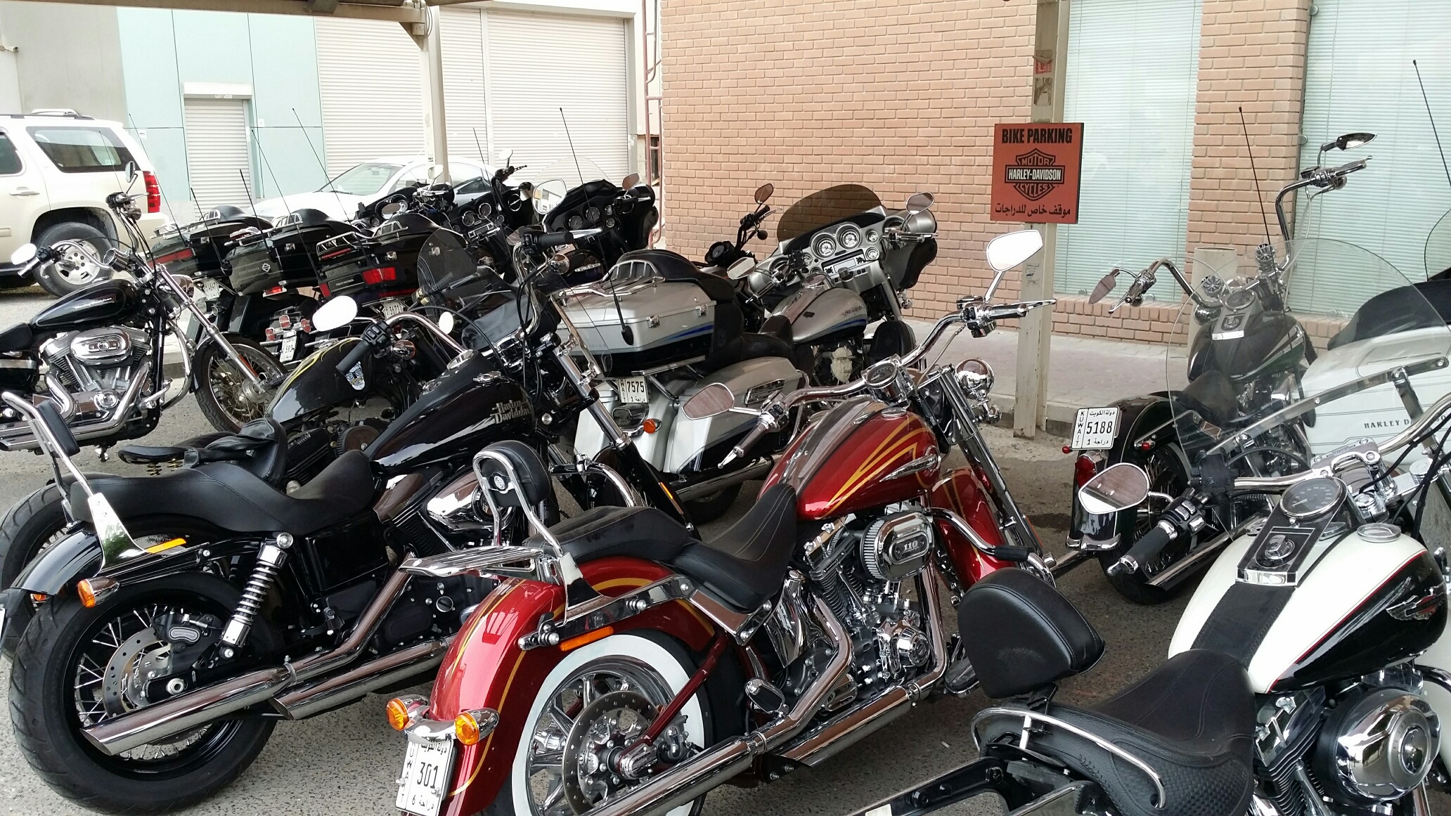 20141120_151103_resized