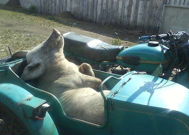 c023b3c6b5211b975f45f5959ea3669e