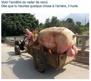 10632742_702331343219290_944148338274494869_n