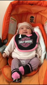 Cosy SOB4 Paloma HARLEY